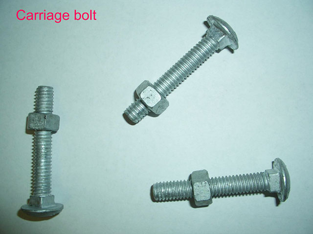 Carriage Bolt